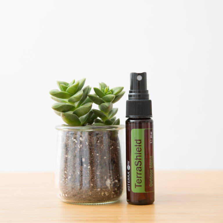 Read more about the article Domowy spray na owady, który faktycznie działa!